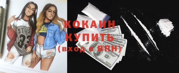 мет Бородино
