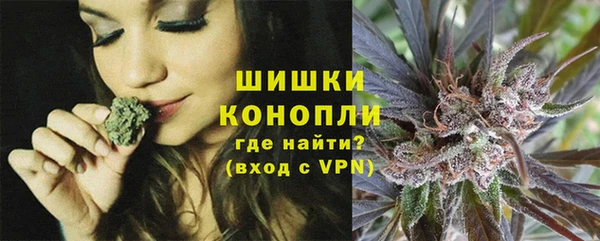 мет Бородино