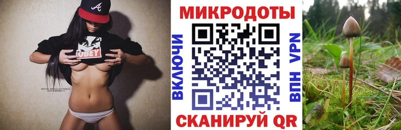Галлюциногенные грибы прущие грибы  Старица 