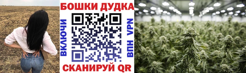 Канабис LSD WEED  Старица 